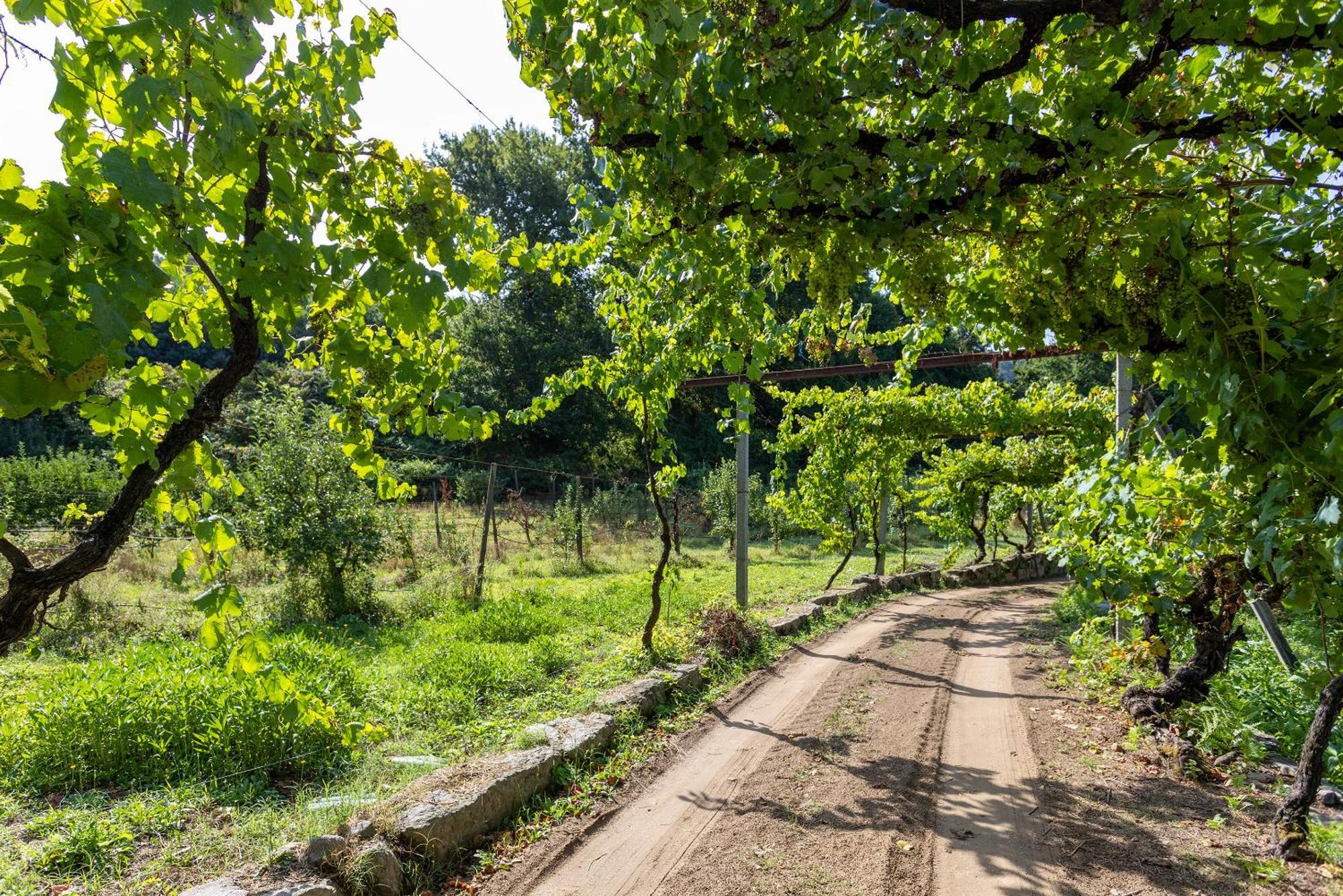 Quinta Da Comenda São Pedro do Sul Esterno foto