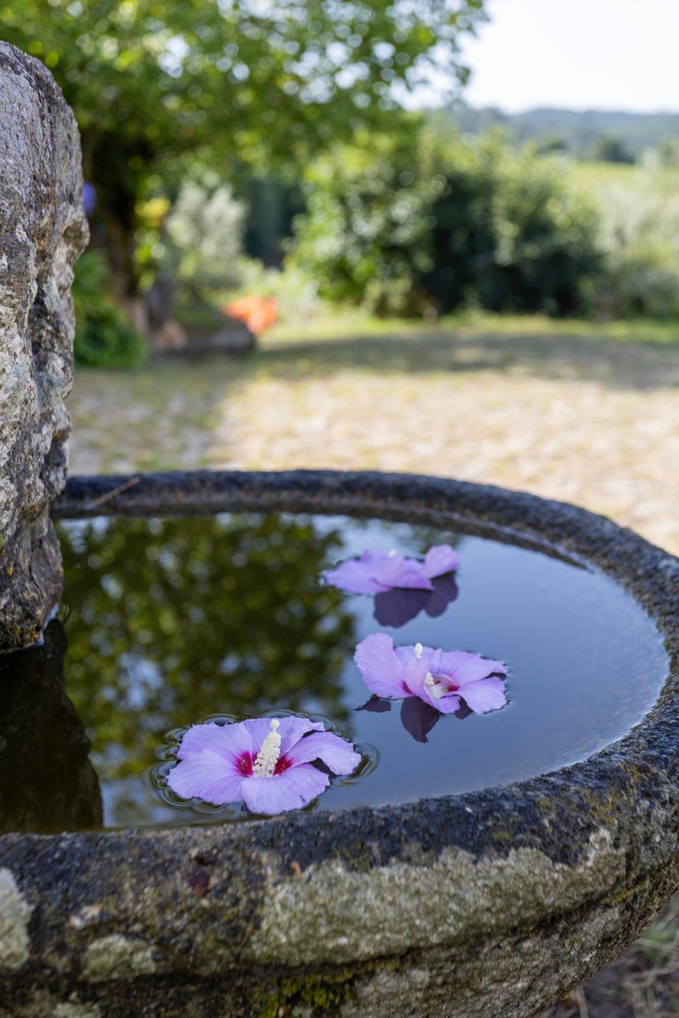 Quinta Da Comenda São Pedro do Sul Esterno foto