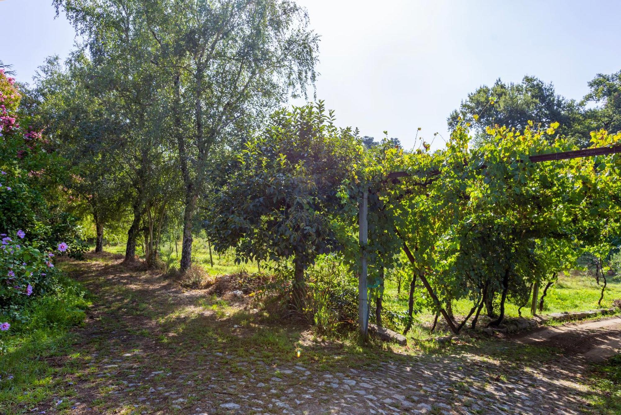 Quinta Da Comenda São Pedro do Sul Esterno foto